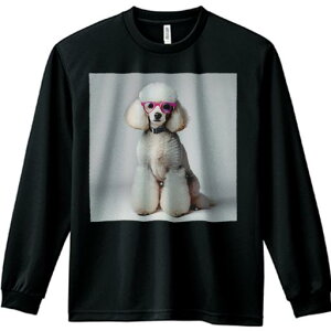 TVc lԗp Y Ht vg W[ AEghA JWA 킢 t@ Kl v[h  ZueB