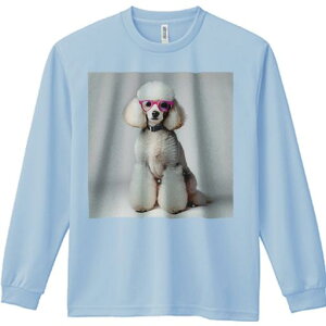 TVc lԗp Y Ht vg W[ AEghA JWA 킢 t@ Kl v[h  ZueB