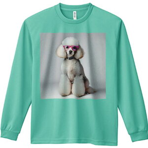 TVc lԗp Y Ht vg W[ AEghA JWA 킢 t@ Kl v[h  ZueB