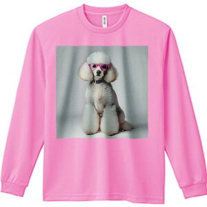 TVc lԗp Y Ht vg W[ AEghA JWA 킢 t@ Kl v[h  ZueB