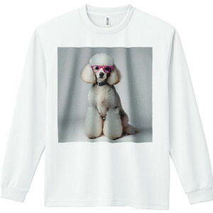 TVc lԗp Y Ht vg W[ AEghA JWA 킢 t@ Kl v[h  ZueB