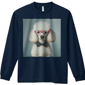 TVc lԗp Y Ht vg W[ AEghA JWA 킢 t@ Kl v[h lN^C X^WIwi