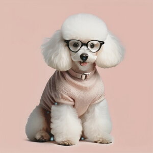 ዾ gCv[h m NbVJo[ 45×45cm Aj}   NbV{̕t ` t@