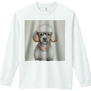 TVc lԗp Y Ht vg W[ AEghA JWA 킢 t@ Kl v[h XJ[t