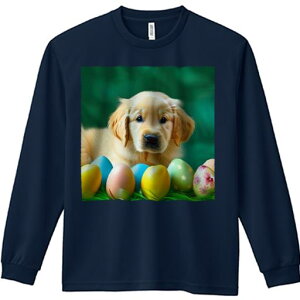 TVc lԗp Y Ht vg W[ AEghA JWA 킢 t@ Jtȗ S[fgo[ ΂̔wi