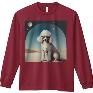 TVc lԗp Y Ht vg W[ AEghA JWA 킢 t@ Kl v[h   