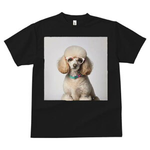 TVc Y LbY t@  t  vg JWA 킢 lԗp tBbglX _X Kl v[h J[ wi t@bV