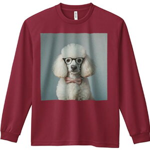 TVc lԗp Y Ht vg W[ AEghA JWA 킢 t@ ዾ v[h lN^C ^̃lbNX