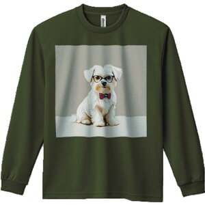 TVc lԗp Y Ht vg W[ AEghA JWA 킢 t@ Kl }`[Y lN^C