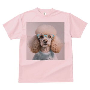 TVc Y LbY t@  t  vg JWA 킢 lԗp tBbglX _X Kl v[h Z[^[