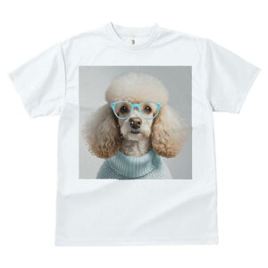 TVc Y LbY t@  t  vg JWA 킢 lԗp tBbglX _X Kl v[h Z[^[