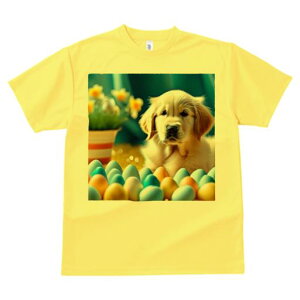 TVc Y LbY t@  t  vg JWA 킢 lԗp tBbglX _X  S[fgo[  A