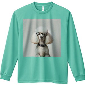 TVc lԗp Y Ht vg W[ AEghA JWA 킢 t@ Kl v[h 