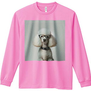 TVc lԗp Y Ht vg W[ AEghA JWA 킢 t@ Kl v[h 