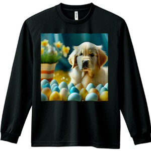 TVc lԗp Y Ht vg W[ AEghA JWA 킢 t@  S[fgo[  A