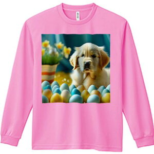 TVc lԗp Y Ht vg W[ AEghA JWA 킢 t@  S[fgo[  A