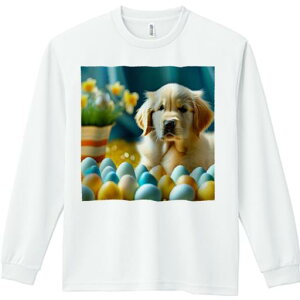 TVc lԗp Y Ht vg W[ AEghA JWA 킢 t@  S[fgo[  A