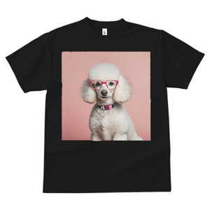 TVc Y LbY t@  t  vg JWA 킢 lԗp tBbglX _X ԂKl v[h sN̔wi 