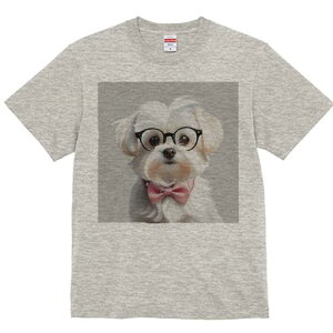 TVc Y LbY t@  t  vg JWA 킢 lԗp tBbglX _X Kl }`[Y {   ANZT[