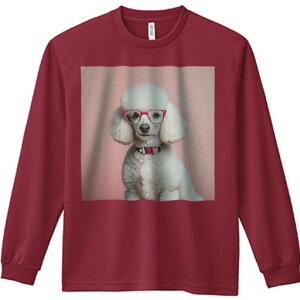 TVc lԗp Y Ht vg W[ AEghA JWA 킢 t@ ԂKl v[h sN̔wi 