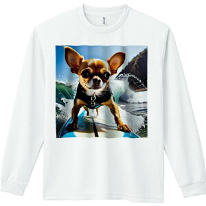 TVc lԗp Y Ht vg W[ AEghA JWA 킢 t@ T[tB ` C g T[t{[h