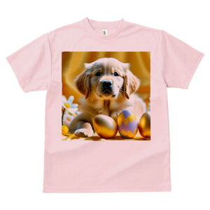 TVc Y LbY t@  t  vg JWA 킢 lԗp tBbglX _X  S[fgo[ C[X^[GbO F