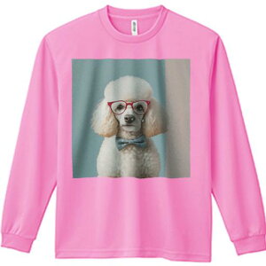 TVc lԗp Y Ht vg W[ AEghA JWA 킢 t@ Kl v[h lN^C ʔwi