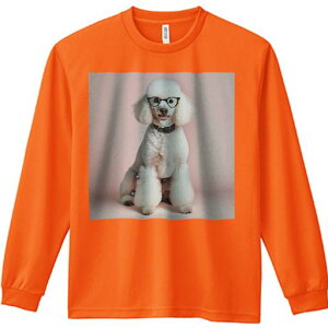 TVc lԗp Y Ht vg W[ AEghA JWA 킢 t@ Kl v[h J[ Ί