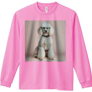 TVc lԗp Y Ht vg W[ AEghA JWA 킢 t@ Kl v[h J[ Ί