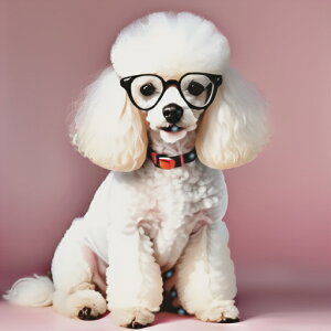 ዾ v[h Ԃ sN̔wi NbVJo[ 45×45cm Aj}   NbV{̕t ` t@