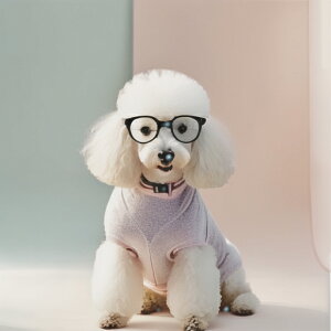 Kl v[h m ̎ sN̔wi ̔wi NbVJo[ 45×45cm Aj}   NbV{̕t ` t@