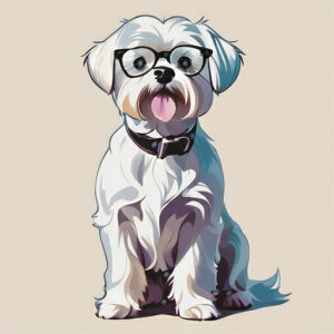 Kl }`[Y oĂ NbVJo[ 45×45cm Aj}   NbV{̕t ` t@