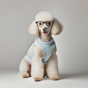 Kl v[h u[̃Vc NbVJo[ 45×45cm Aj}   NbV{̕t ` t@