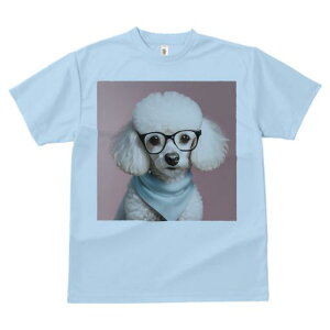 TVc Y LbY t@  t  vg JWA 킢 lԗp tBbglX _X Kl v[h o_i sN̔wi