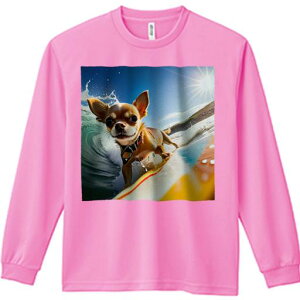 TVc lԗp Y Ht vg W[ AEghA JWA 킢 t@ T[tB ` g C z r[`