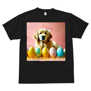 TVc Y LbY t@  t  vg JWA 킢 lԗp tBbglX _X C[X^[GbO S[fgo[ sN̔wi t[AWg