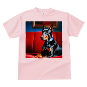 TVc Y LbY t@  t  vg JWA 킢 lԗp tBbglX _X Ԃ\t@ h[x} lN^C z 