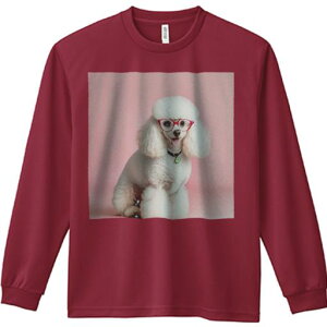 TVc lԗp Y Ht vg W[ AEghA JWA 킢 t@ Kl v[h sN̔wi