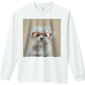 TVc lԗp Y Ht vg W[ AEghA JWA 킢 t@ Kl }`[Y