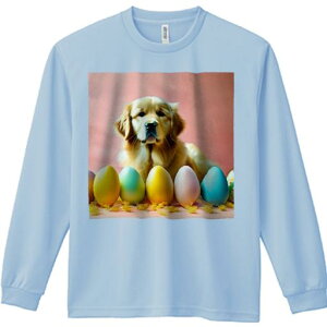 TVc lԗp Y Ht vg W[ AEghA JWA 킢 t@ C[X^[GbO S[fgo[ sN̔wi t[AWg