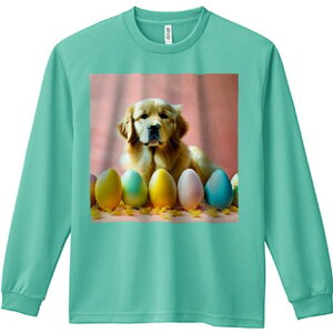 TVc lԗp Y Ht vg W[ AEghA JWA 킢 t@ C[X^[GbO S[fgo[ sN̔wi t[AWg