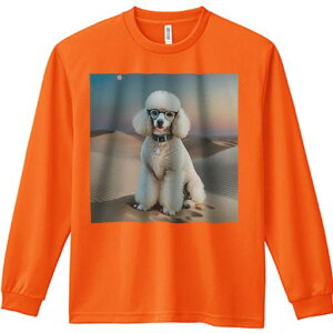 TVc lԗp Y Ht vg W[ AEghA JWA 킢 t@  v[h Kl   [Ă