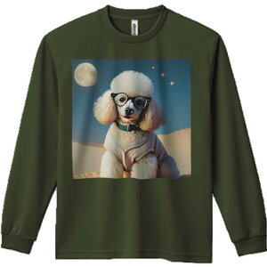 TVc lԗp Y Ht vg W[ AEghA JWA 킢 t@ Kl v[h   