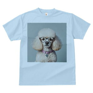 TVc Y LbY t@  t  vg JWA 킢 lԗp tBbglX _X Kl v[h sN̎ n[g̃^O F̔wi