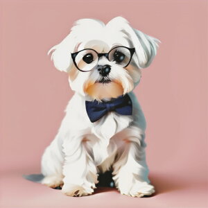 ዾ }`[Y lN^C sN̔wi NbVJo[ 45×45cm Aj}   NbV{̕t ` t@