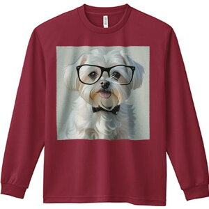 TVc lԗp Y Ht vg W[ AEghA JWA 킢 t@ Kl }`[Y lN^C 