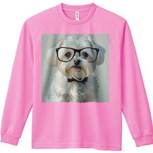 TVc lԗp Y Ht vg W[ AEghA JWA 킢 t@ Kl }`[Y lN^C 