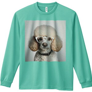 TVc lԗp Y Ht vg W[ AEghA JWA 킢 t@ Kl v[h  wi