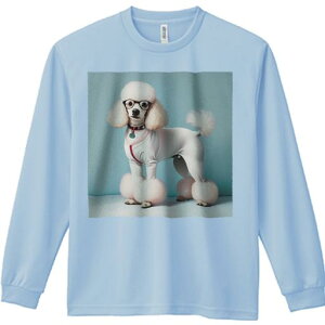 TVc lԗp Y Ht vg W[ AEghA JWA 킢 t@ Kl v[h RX`[ 