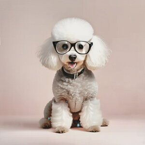 Kl gCv[h NbVJo[ 45×45cm Aj}   NbV{̕t ` t@